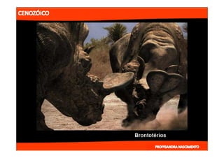 2- ETAPAS DA HITÓRIA DA TERRA