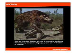 2- ETAPAS DA HITÓRIA DA TERRA