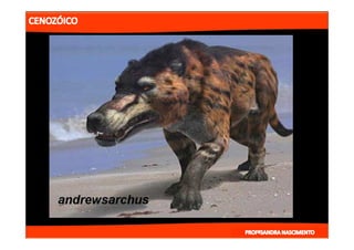 2- ETAPAS DA HITÓRIA DA TERRA