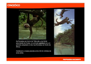 2- ETAPAS DA HITÓRIA DA TERRA