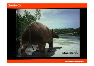 2- ETAPAS DA HITÓRIA DA TERRA