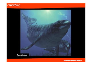 2- ETAPAS DA HITÓRIA DA TERRA