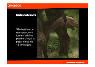 2- ETAPAS DA HITÓRIA DA TERRA