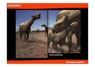 2- ETAPAS DA HITÓRIA DA TERRA