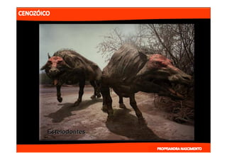 2- ETAPAS DA HITÓRIA DA TERRA