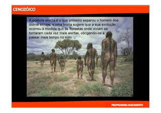 2- ETAPAS DA HITÓRIA DA TERRA