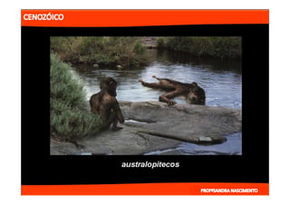 2- ETAPAS DA HITÓRIA DA TERRA