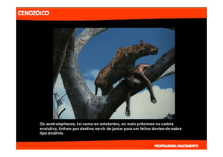 2- ETAPAS DA HITÓRIA DA TERRA