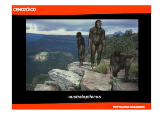 2- ETAPAS DA HITÓRIA DA TERRA