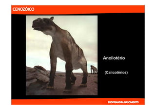 2- ETAPAS DA HITÓRIA DA TERRA