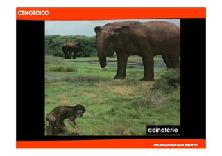 2- ETAPAS DA HITÓRIA DA TERRA