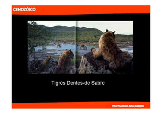 2- ETAPAS DA HITÓRIA DA TERRA