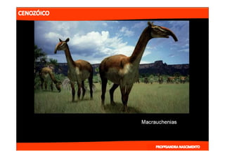 2- ETAPAS DA HITÓRIA DA TERRA