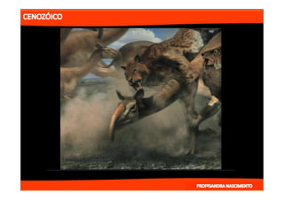 2- ETAPAS DA HITÓRIA DA TERRA