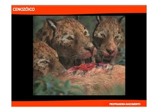 2- ETAPAS DA HITÓRIA DA TERRA