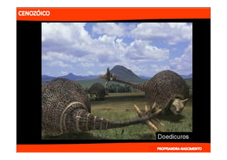 2- ETAPAS DA HITÓRIA DA TERRA