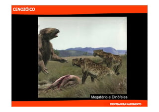 2- ETAPAS DA HITÓRIA DA TERRA