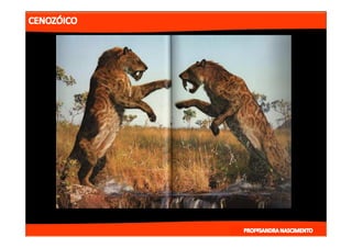 2- ETAPAS DA HITÓRIA DA TERRA