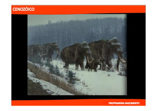 2- ETAPAS DA HITÓRIA DA TERRA