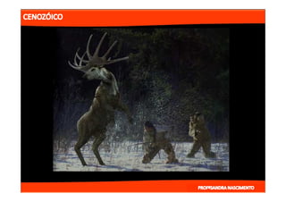 2- ETAPAS DA HITÓRIA DA TERRA