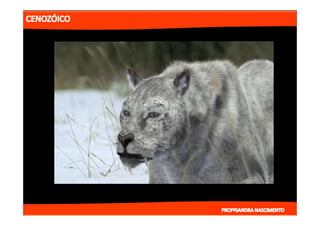 2- ETAPAS DA HITÓRIA DA TERRA