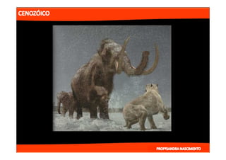 2- ETAPAS DA HITÓRIA DA TERRA