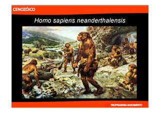 2- ETAPAS DA HITÓRIA DA TERRA