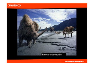 2- ETAPAS DA HITÓRIA DA TERRA