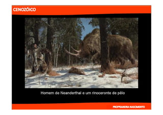 2- ETAPAS DA HITÓRIA DA TERRA