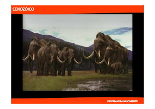 2- ETAPAS DA HITÓRIA DA TERRA