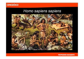 2- ETAPAS DA HITÓRIA DA TERRA