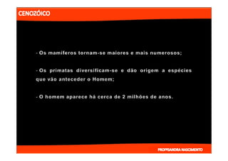 2- ETAPAS DA HITÓRIA DA TERRA