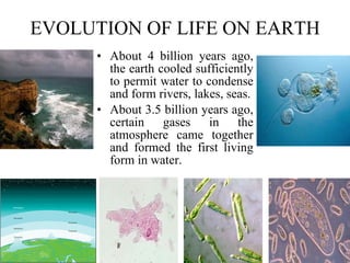 EVOLUTION OF LIFE ON EARTH About 4 billion years ago, the earth cooled sufficiently to permit water to condense and form rivers, lakes, seas. About 3.5 billion years ago, certain gases in the atmosphere came together and formed the first living form in water.   