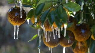 ANTOINEDUPONT
#WestPalmBeach @adupont65
 