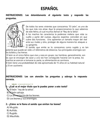 ESPAÑOL
INSTRUCCIONES: Lee detenidamente el siguiente texto y responde las
preguntas.
De todos los seres vivientes que conocemos “El León”, es uno de
los que más nos atrae. Aquí le proporcionamos lo que sabemos
de este felino, al cual muchos llaman el “Rey de la Selva”.
A los machos les caracteriza la poderosa melena que viste su
cuello y parte del cuerpo, algunos expertos coinciden en que
cubre dos funciones. Una aparentar un tamaño mayor del real
ante sus rivales y otra, proteger de alguna manera los ataques a
su garganta.
El sonido que emite se lo conocemos como rugido y es tan
potente que puede ser oído a 5 kilómetros de distancia. Sus principales enemigos son
los búfalos y las hienas.
El león es el único felino que vive y caza en grupo, Las hembras, generalmente, son
las que se encargan de cazar y una vez han conseguido hacerse con la presa, los
machos se acercan a tomarse su parte, su alimentación es carnívora.
El león tiene una probabilidad de vida aproximada de 15 años en su habitad natural
y 25 en cautiverio.
INSTRUCCIONES: Lee con atención las preguntas y subraya la respuesta
correcta.
 Indicador: comprensión lectora (1-4)
1.- ¿Cuál es el mejor título que le puedes poner a este texto?
A) El león “rey de la selva”.
B) El león salvaje.
C) La alimentaciónde los leones.
D) Los leones y sus enemigos.
2.- ¿Cómo se le llama al sonido que emiten los leones?
A) Mugido.
B) Aullido.
C) Rugido.
D) Maullido.
 