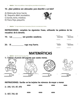  Indicador: Selecciona palabras o frasesadjetivas paraelaborardescripciones.
18.- ¿Qué palabras son adecuadas para describir a un león?
A) Melenudo, feroz, fuerte.
B) Pequeño, débil, asustadizo.
C) Gordo, lento, miedoso.
D) Flaco, flojo, pequeño.
 Indicador: Corrige reiteraciones innecesariasy faltade concordanciaen textos.
INSTRUCCIONES: completa las siguientes frases, utilizando las palabras de los
recuadros de la derecha.
19.- Las _____________ son grandes cazadoras. leones leonas
20.- El _________________ ruge muy fuerte. león leones
MATEMÁTICAS
 Indicador: Númerosde dos y tres cifras.
1.- Colorea el precio del juguete que cuesta menos.
$ 135 $ 387 $ 45 $290
INSTRUCCIONES: Escribe en las tarjetas los números de mayor a menor
2.- 245, 121, 87, 476
3.- 657, 743, 63
 
