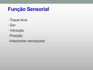 Função Sensorial
• Toque leve
• Dor
• Vibração
• Posição
• Interpretar sensações
 