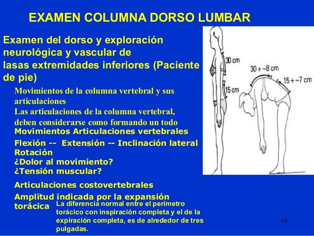 2. examen fisico