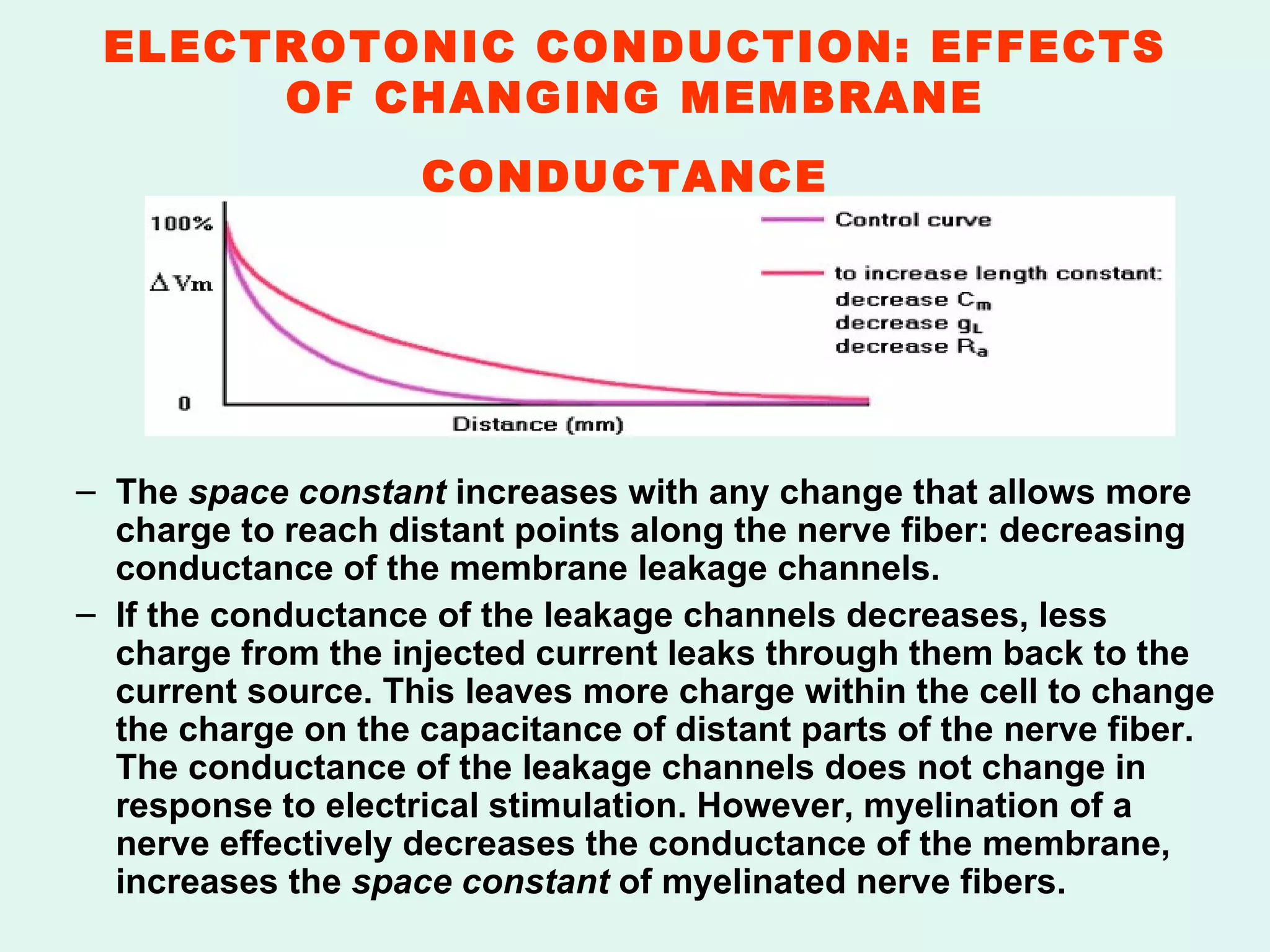 ELECTROTONIC CONDUCTION: EFFECTS OF CHANGING MEMBRANE CONDUCTANCE   The  space constant  increases with any change that allows more charge to reach distant points along the nerve fiber: decreasing conductance of the membrane leakage channels.   If the conductance of the leakage channels decreases, less charge from the injected current leaks through them back to the current source. This leaves more charge within the cell to change the charge on the capacitance of distant parts of the nerve fiber. The conductance of the leakage channels does not change in response to electrical stimulation. However, myelination of a nerve effectively decreases the conductance of the membrane, increases the  space constant  of myelinated nerve fibers.   