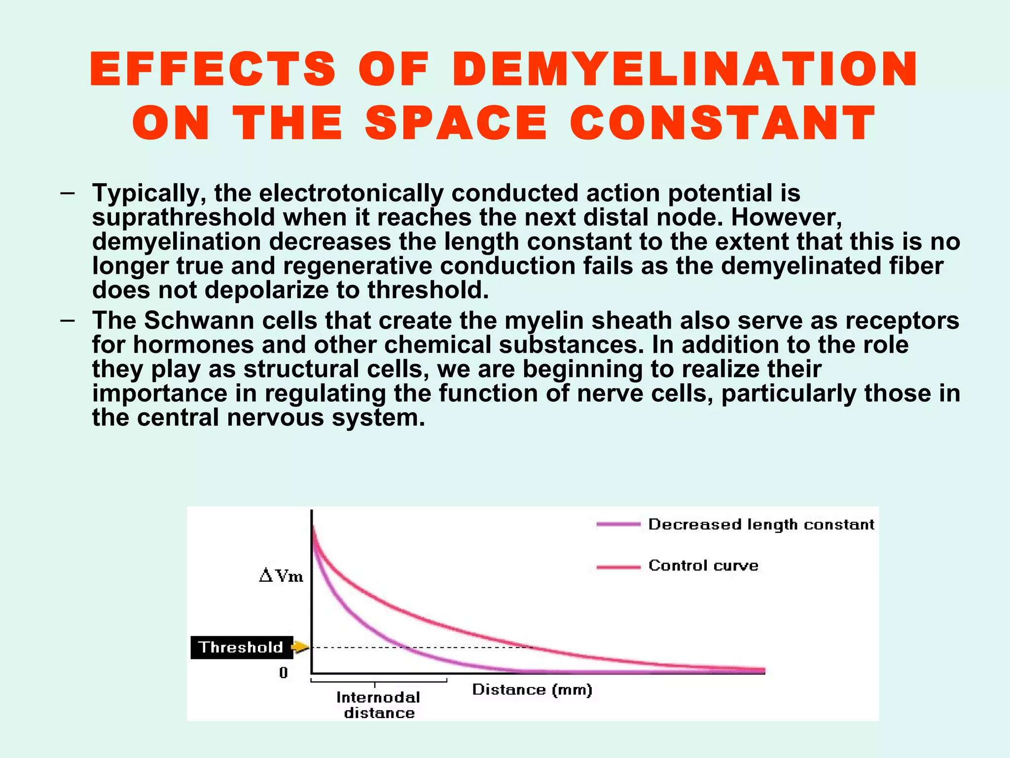 EFFECTS OF DEMYELINATION ON THE SPACE CONSTANT Typically, the electrotonically conducted action potential is suprathreshold when it reaches the next distal node. However, demyelination decreases the length constant to the extent that this is no longer true and regenerative conduction fails as the demyelinated fiber does not depolarize to threshold. The Schwann cells that create the myelin sheath also serve as receptors for hormones and other chemical substances. In addition to the role they play as structural cells, we are beginning to realize their importance in regulating the function of nerve cells, particularly those in the central nervous system. 