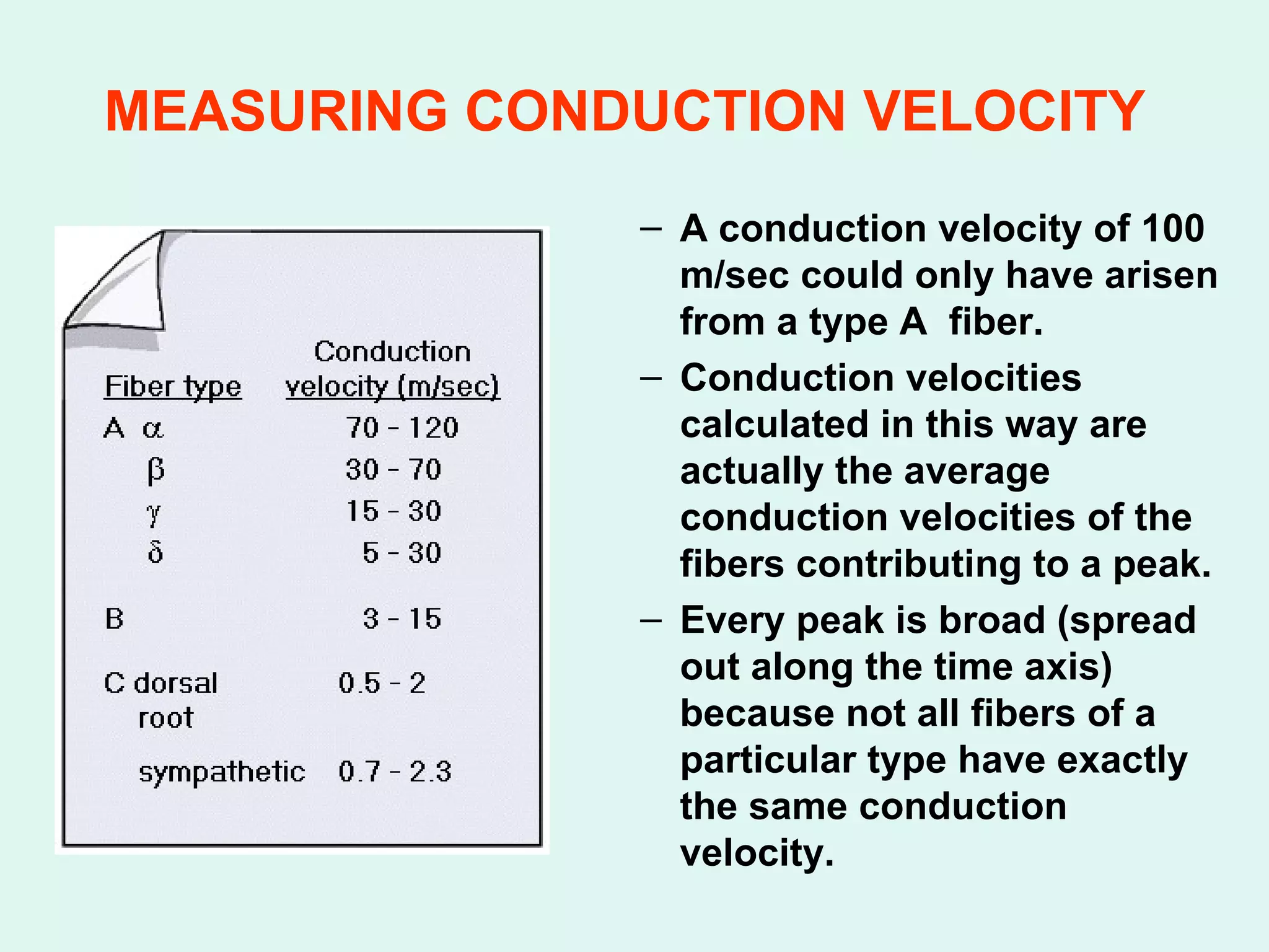 MEASURING CONDUCTION VELOCITY   A conduction velocity of 100 m/sec could only have arisen from a type A  fiber. Conduction velocities calculated in this way are actually the average conduction velocities of the fibers contributing to a peak. Every peak is broad (spread out along the time axis) because not all fibers of a particular type have exactly the same conduction velocity. 