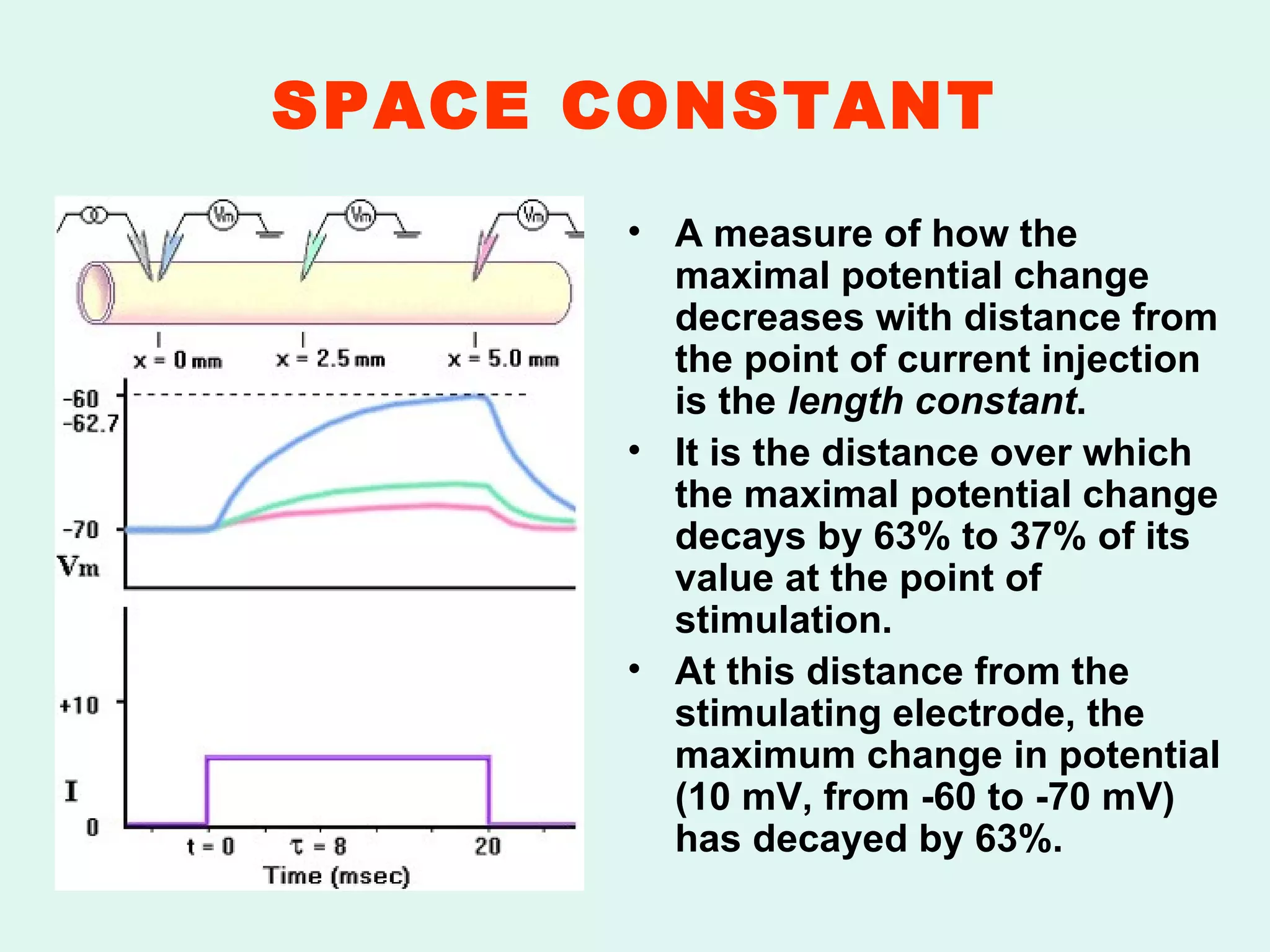 SPACE CONSTANT A measure of how the maximal potential change decreases with distance from the point of current injection is the  length constant . It is the distance over which the maximal potential change decays by 63% to 37% of its value at the point of stimulation. At this distance from the stimulating electrode, the maximum change in potential (10 mV, from -60 to -70 mV) has decayed by 63%. 