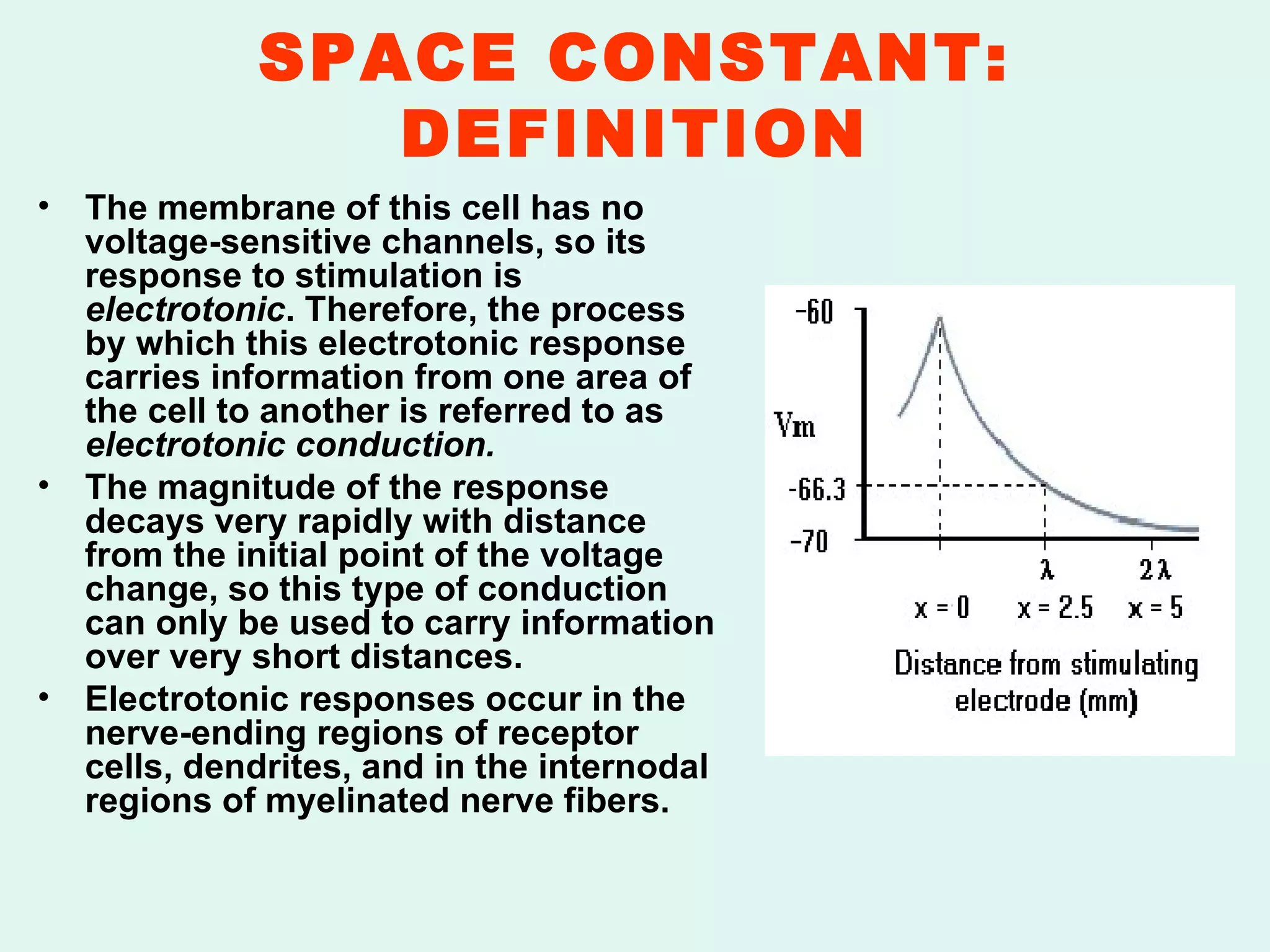 SPACE CONSTANT: DEFINITION The membrane of this cell has no voltage-sensitive channels, so its response to stimulation is  electrotonic . Therefore, the process by which this electrotonic response carries information from one area of the cell to another is referred to as  electrotonic conduction. The magnitude of the response decays very rapidly with distance from the initial point of the voltage change, so this type of conduction can only be used to carry information over very short distances. Electrotonic responses occur in the nerve-ending regions of receptor cells, dendrites, and in the internodal regions of myelinated nerve fibers.   