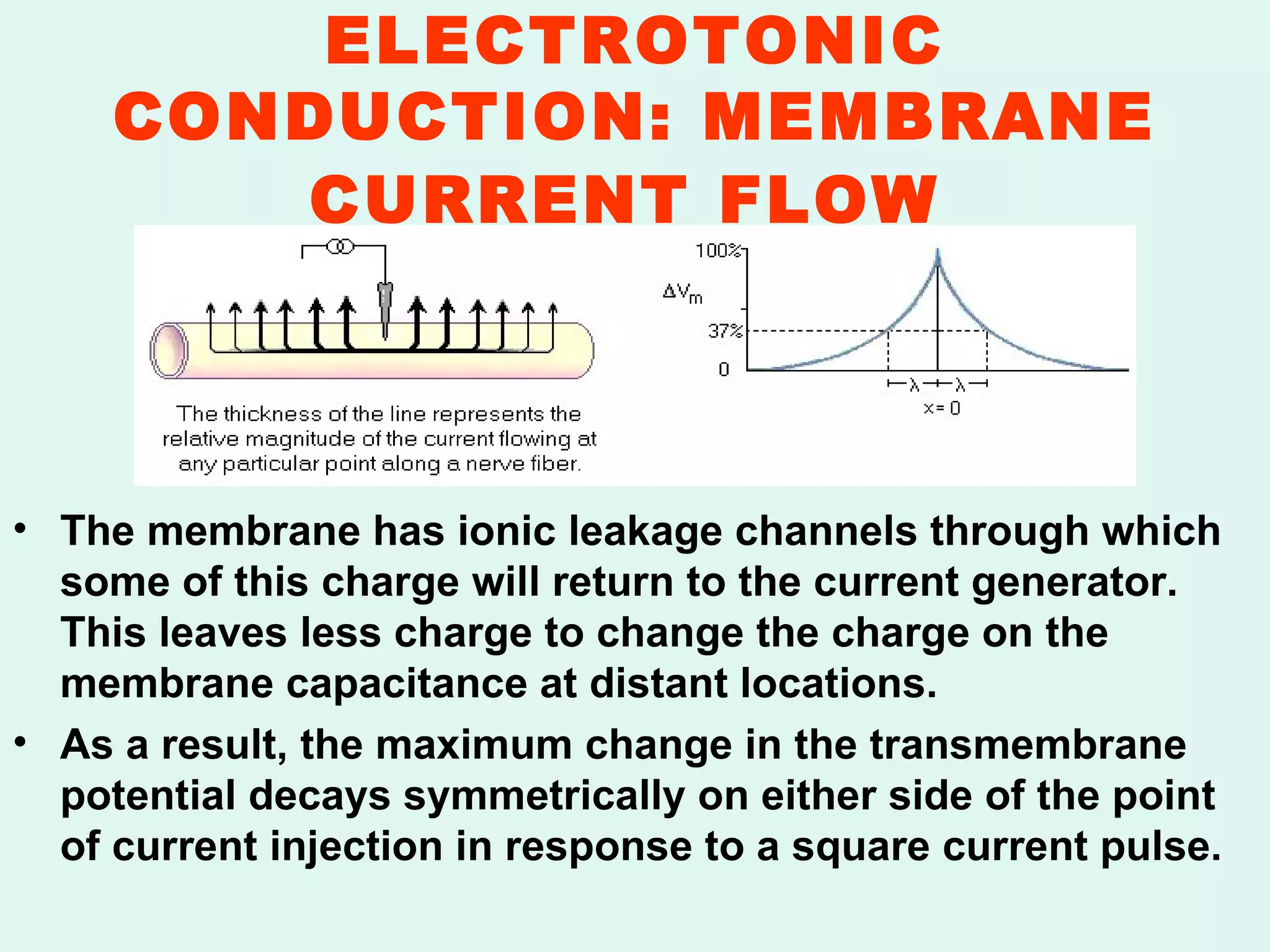 ELECTROTONIC CONDUCTION: MEMBRANE CURRENT FLOW   The membrane has ionic leakage channels through which some of this charge will return to the current generator. This leaves less charge to change the charge on the membrane capacitance at distant locations. As a result, the maximum change in the transmembrane potential decays symmetrically on either side of the point of current injection in response to a square current pulse.   