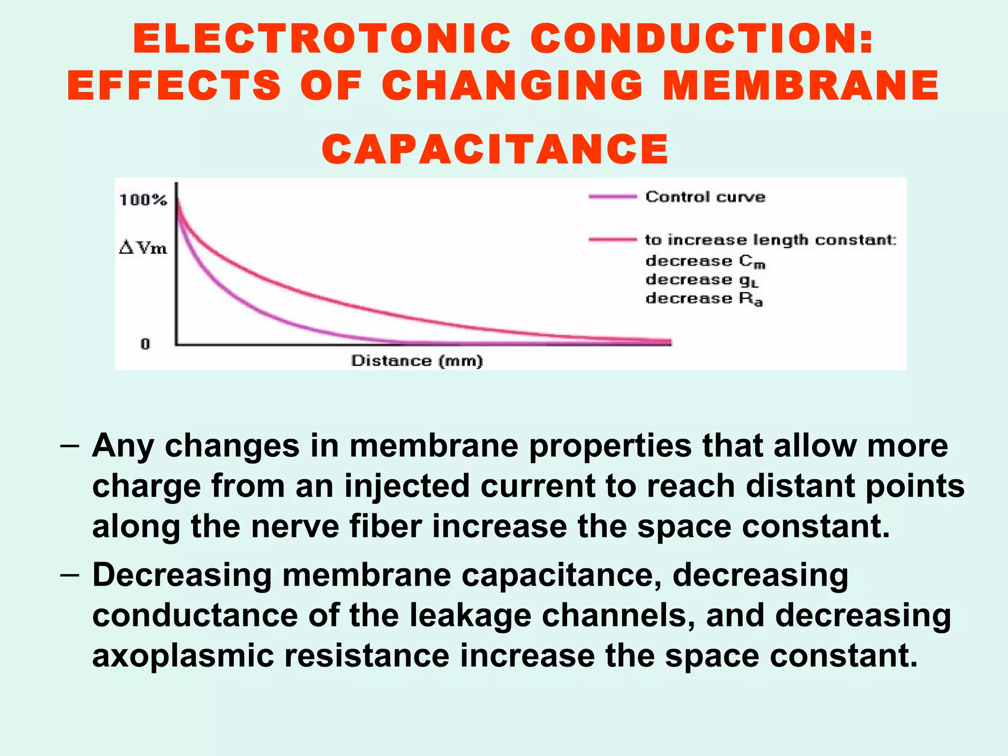 ELECTROTONIC CONDUCTION: EFFECTS OF CHANGING MEMBRANE CAPACITANCE   Any changes in membrane properties that allow more charge from an injected current to reach distant points along the nerve fiber increase the space constant. Decreasing membrane capacitance, decreasing conductance of the leakage channels, and decreasing axoplasmic resistance increase the space constant. 