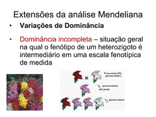 Extensões da análise Mendeliana Variações de Dominância Dominância incompleta  – situação geral na qual o fenótipo de um heterozigoto é intermediário em uma escala fenotípica de medida 