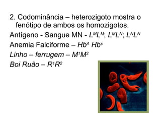 2. Codominância – heterozigoto mostra o fenótipo de ambos os homozigotos.  Antígeno - Sangue MN -  L M L M ;  L M L N ;  L N L N Anemia Falciforme –  Hb A  Hb s Linho – ferrugem – M 1 M 2 Boi Ruão – R 1 R 2   