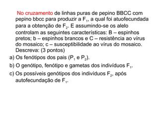 No cruzamento  de linhas puras de pepino BBCC com pepino bbcc para produzir a F 1 , a qual foi atuofecundada para a obtenção de F 2 . E assumindo-se os alelo controlam as seguintes características: B – espinhos pretos; b – espinhos brancos e C – resistência ao vírus do mosaico; c – susceptibilidade ao vírus do mosaico. Descreva: (3 pontos) a) Os fenótipos dos pais (P 1  e P 2 ). b) O genótipo, fenótipo e gametas dos indivíduos F 1 . c) Os possíveis genótipos dos indivíduos F 2 , após autofecundação de F 1 . 