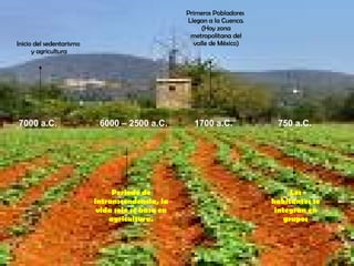 7000 a.C. Inicio del sedentarismo  y agricultura 6000 – 2500 a.C. Periodo de intranscendencia, la vida solo se basa en agricultura. 1700 a.C. Primeros Pobladores  Llegan a la Cuenca. (Hoy zona metropolitana del valle de México) 750 a.C. Los habitantes se integran en grupos 