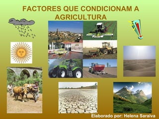 FACTORES QUE CONDICIONAM A AGRICULTURA Elaborado por: Helena Saraiva 